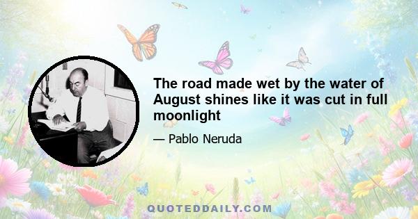 The road made wet by the water of August shines like it was cut in full moonlight