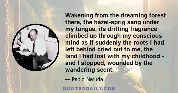 Wakening from the dreaming forest there, the hazel-sprig sang under my tongue, its drifting fragrance climbed up through my conscious mind as if suddenly the roots I had left behind cried out to me, the land I had lost