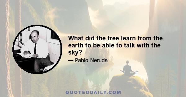 What did the tree learn from the earth to be able to talk with the sky?