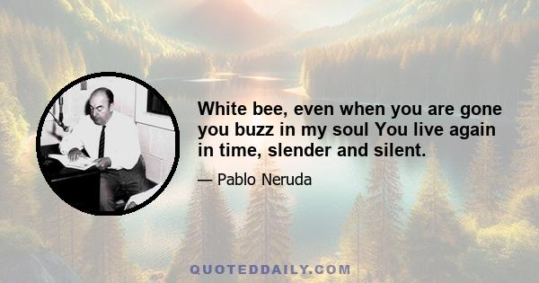 White bee, even when you are gone you buzz in my soul You live again in time, slender and silent.