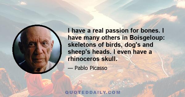 I have a real passion for bones. I have many others in Boisgeloup: skeletons of birds, dog's and sheep's heads. I even have a rhinoceros skull.