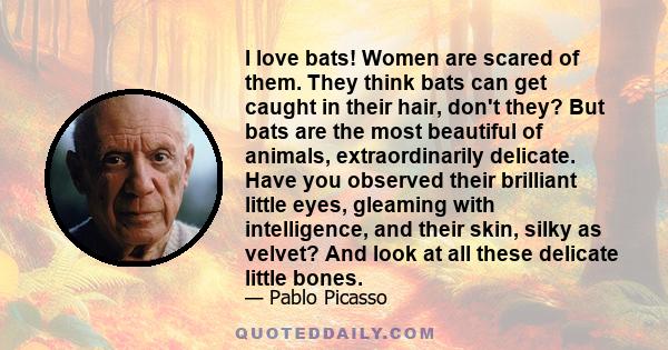 I love bats! Women are scared of them. They think bats can get caught in their hair, don't they? But bats are the most beautiful of animals, extraordinarily delicate. Have you observed their brilliant little eyes,