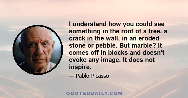 I understand how you could see something in the root of a tree, a crack in the wall, in an eroded stone or pebble. But marble? It comes off in blocks and doesn't evoke any image. It does not inspire.