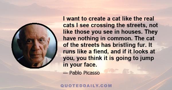 I want to create a cat like the real cats I see crossing the streets, not like those you see in houses. They have nothing in common. The cat of the streets has bristling fur. It runs like a fiend, and if it looks at