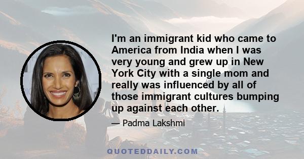 I'm an immigrant kid who came to America from India when I was very young and grew up in New York City with a single mom and really was influenced by all of those immigrant cultures bumping up against each other.