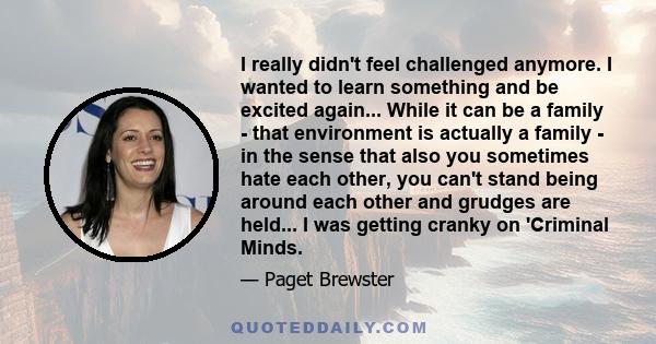 I really didn't feel challenged anymore. I wanted to learn something and be excited again... While it can be a family - that environment is actually a family - in the sense that also you sometimes hate each other, you