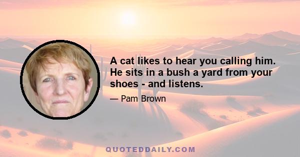 A cat likes to hear you calling him. He sits in a bush a yard from your shoes - and listens.