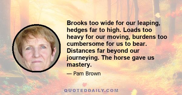 Brooks too wide for our leaping, hedges far to high. Loads too heavy for our moving, burdens too cumbersome for us to bear. Distances far beyond our journeying. The horse gave us mastery.