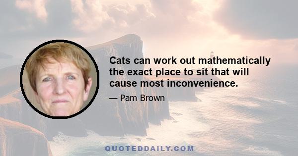 Cats can work out mathematically the exact place to sit that will cause most inconvenience.