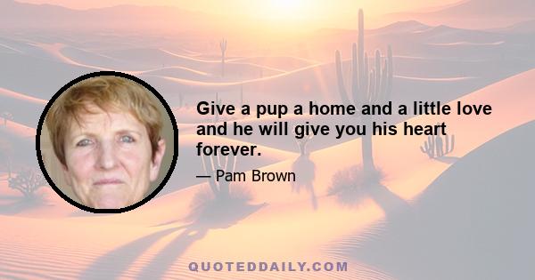 Give a pup a home and a little love and he will give you his heart forever.