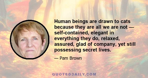 Human beings are drawn to cats because they are all we are not — self-contained, elegant in everything they do, relaxed, assured, glad of company, yet still possessing secret lives.