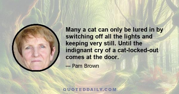 Many a cat can only be lured in by switching off all the lights and keeping very still. Until the indignant cry of a cat-locked-out comes at the door.