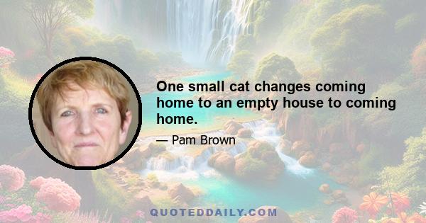 One small cat changes coming home to an empty house to coming home.