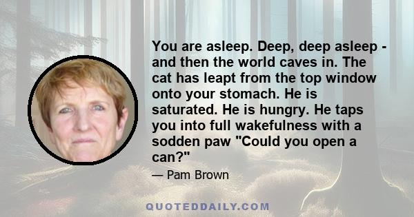 You are asleep. Deep, deep asleep - and then the world caves in. The cat has leapt from the top window onto your stomach. He is saturated. He is hungry. He taps you into full wakefulness with a sodden paw Could you open 