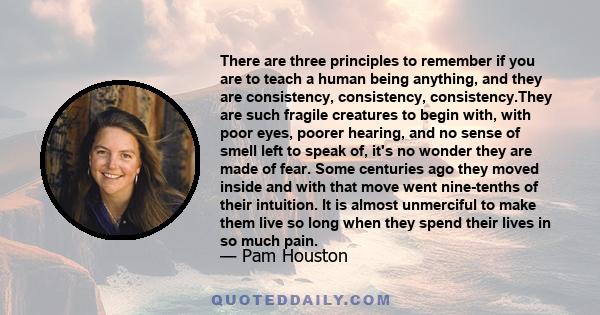 There are three principles to remember if you are to teach a human being anything, and they are consistency, consistency, consistency.They are such fragile creatures to begin with, with poor eyes, poorer hearing, and no 