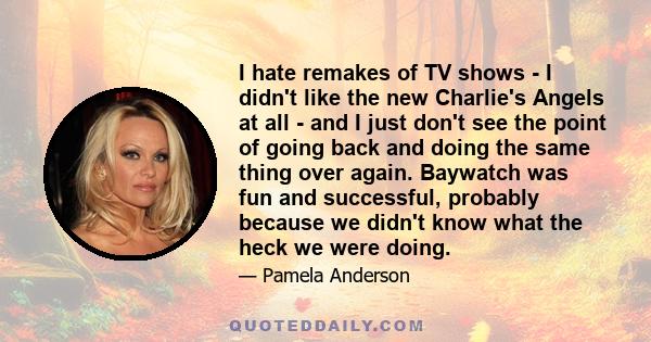 I hate remakes of TV shows - I didn't like the new Charlie's Angels at all - and I just don't see the point of going back and doing the same thing over again. Baywatch was fun and successful, probably because we didn't