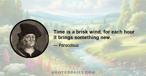 Time is a brisk wind, for each hour it brings something new.