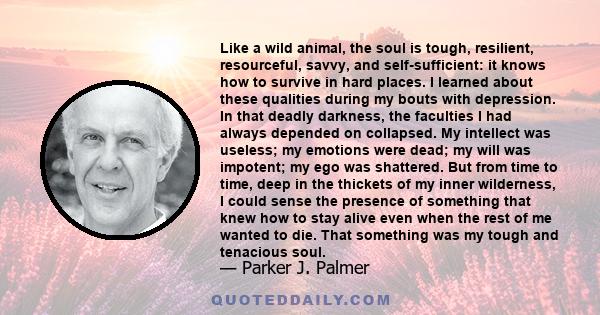 Like a wild animal, the soul is tough, resilient, resourceful, savvy, and self-sufficient: it knows how to survive in hard places. I learned about these qualities during my bouts with depression. In that deadly