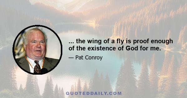 ... the wing of a fly is proof enough of the existence of God for me.