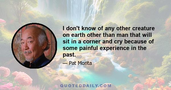 I don't know of any other creature on earth other than man that will sit in a corner and cry because of some painful experience in the past.