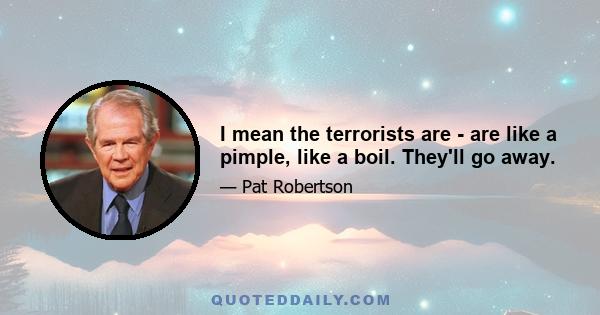 I mean the terrorists are - are like a pimple, like a boil. They'll go away.