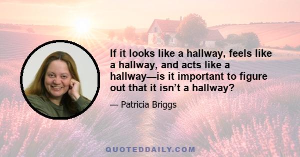 If it looks like a hallway, feels like a hallway, and acts like a hallway—is it important to figure out that it isn’t a hallway?