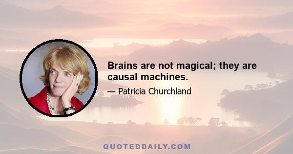 Brains are not magical; they are causal machines.