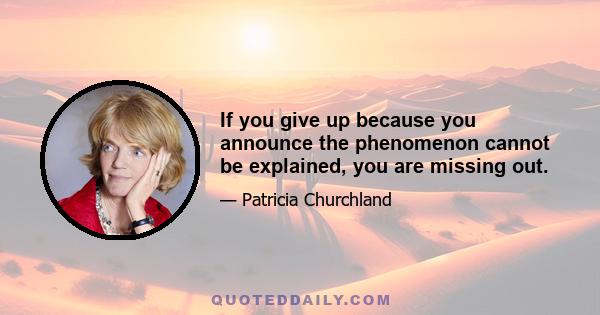 If you give up because you announce the phenomenon cannot be explained, you are missing out.