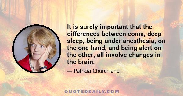 It is surely important that the differences between coma, deep sleep, being under anesthesia, on the one hand, and being alert on the other, all involve changes in the brain.