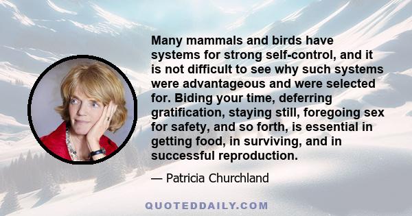 Many mammals and birds have systems for strong self-control, and it is not difficult to see why such systems were advantageous and were selected for. Biding your time, deferring gratification, staying still, foregoing