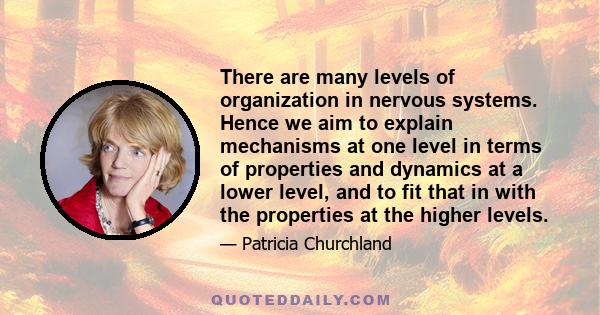 There are many levels of organization in nervous systems. Hence we aim to explain mechanisms at one level in terms of properties and dynamics at a lower level, and to fit that in with the properties at the higher levels.