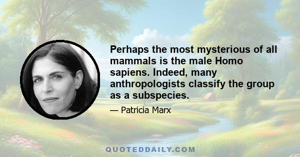 Perhaps the most mysterious of all mammals is the male Homo sapiens. Indeed, many anthropologists classify the group as a subspecies.