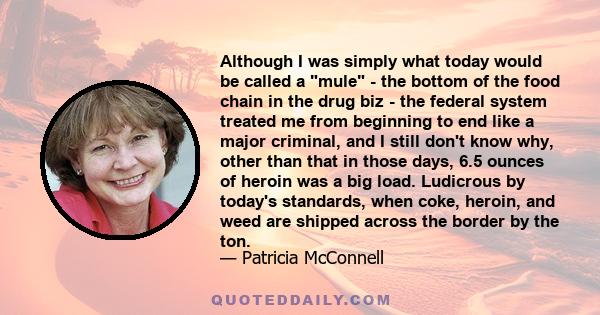 Although I was simply what today would be called a mule - the bottom of the food chain in the drug biz - the federal system treated me from beginning to end like a major criminal, and I still don't know why, other than