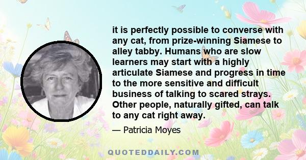 it is perfectly possible to converse with any cat, from prize-winning Siamese to alley tabby. Humans who are slow learners may start with a highly articulate Siamese and progress in time to the more sensitive and