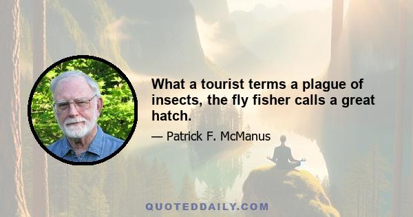 What a tourist terms a plague of insects, the fly fisher calls a great hatch.