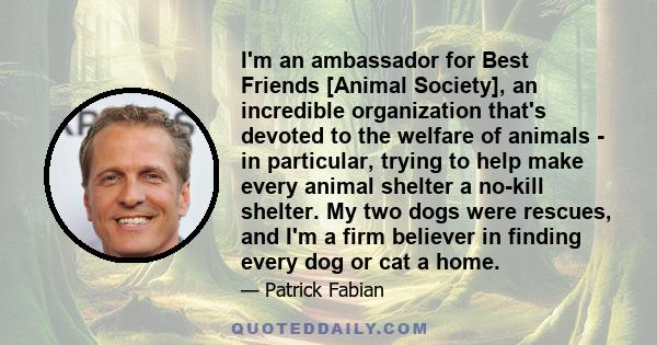 I'm an ambassador for Best Friends [Animal Society], an incredible organization that's devoted to the welfare of animals - in particular, trying to help make every animal shelter a no-kill shelter. My two dogs were