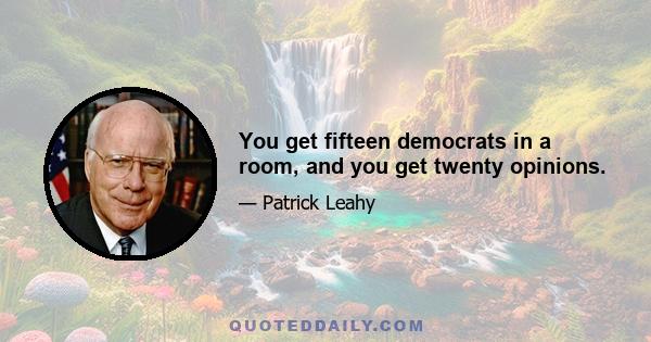 You get fifteen democrats in a room, and you get twenty opinions.