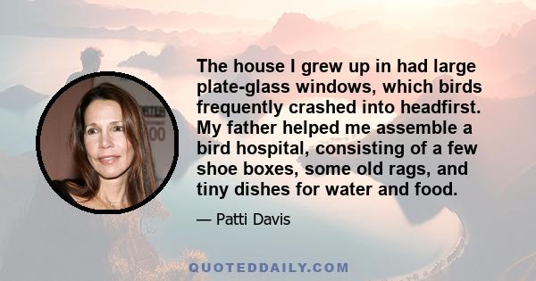 The house I grew up in had large plate-glass windows, which birds frequently crashed into headfirst. My father helped me assemble a bird hospital, consisting of a few shoe boxes, some old rags, and tiny dishes for water 