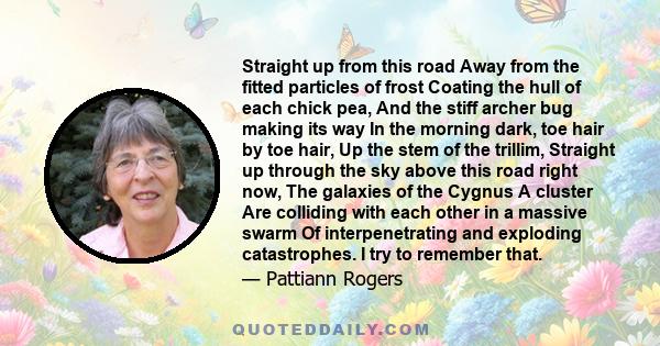 Straight up from this road Away from the fitted particles of frost Coating the hull of each chick pea, And the stiff archer bug making its way In the morning dark, toe hair by toe hair, Up the stem of the trillim,