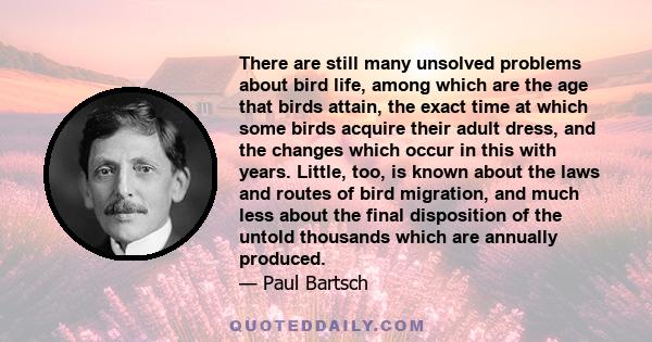 There are still many unsolved problems about bird life, among which are the age that birds attain, the exact time at which some birds acquire their adult dress, and the changes which occur in this with years. Little,