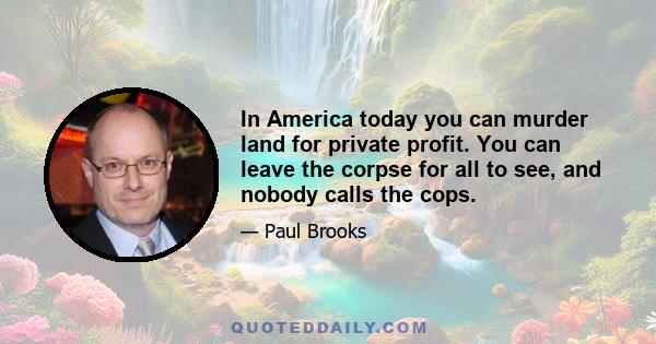 In America today you can murder land for private profit. You can leave the corpse for all to see, and nobody calls the cops.