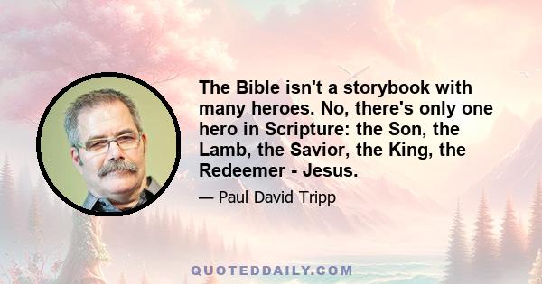 The Bible isn't a storybook with many heroes. No, there's only one hero in Scripture: the Son, the Lamb, the Savior, the King, the Redeemer - Jesus.