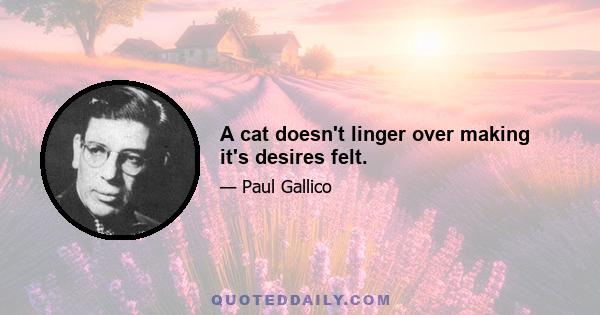 A cat doesn't linger over making it's desires felt.