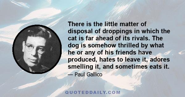 There is the little matter of disposal of droppings in which the cat is far ahead of its rivals. The dog is somehow thrilled by what he or any of his friends have produced, hates to leave it, adores smelling it, and