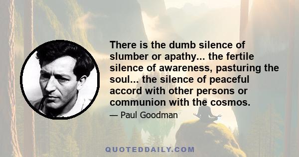 There is the dumb silence of slumber or apathy... the fertile silence of awareness, pasturing the soul... the silence of peaceful accord with other persons or communion with the cosmos.