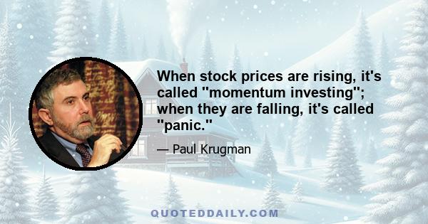 When stock prices are rising, it's called ''momentum investing''; when they are falling, it's called ''panic.''