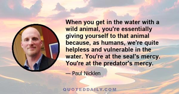 When you get in the water with a wild animal, you're essentially giving yourself to that animal because, as humans, we're quite helpless and vulnerable in the water. You're at the seal's mercy. You're at the predator's