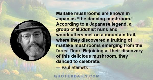 Maitake mushrooms are known in Japan as “the dancing mushroom.” According to a Japanese legend, a group of Buddhist nuns and woodcutters met on a mountain trail, where they discovered a fruiting of maitake mushrooms