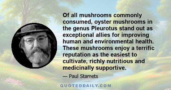 Of all mushrooms commonly consumed, oyster mushrooms in the genus Pleurotus stand out as exceptional allies for improving human and environmental health. These mushrooms enjoy a terrific reputation as the easiest to