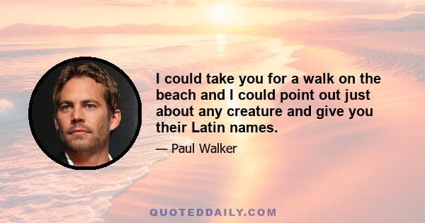 I could take you for a walk on the beach and I could point out just about any creature and give you their Latin names.